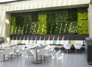 Del Amo Fashion Center Cafes Patio Wall